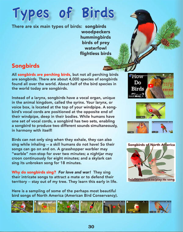 ScienceWiz Interactive Birds Kit and Book
