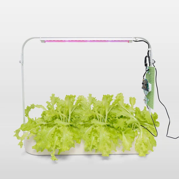 Forward Education Smart Hydroponics Kit