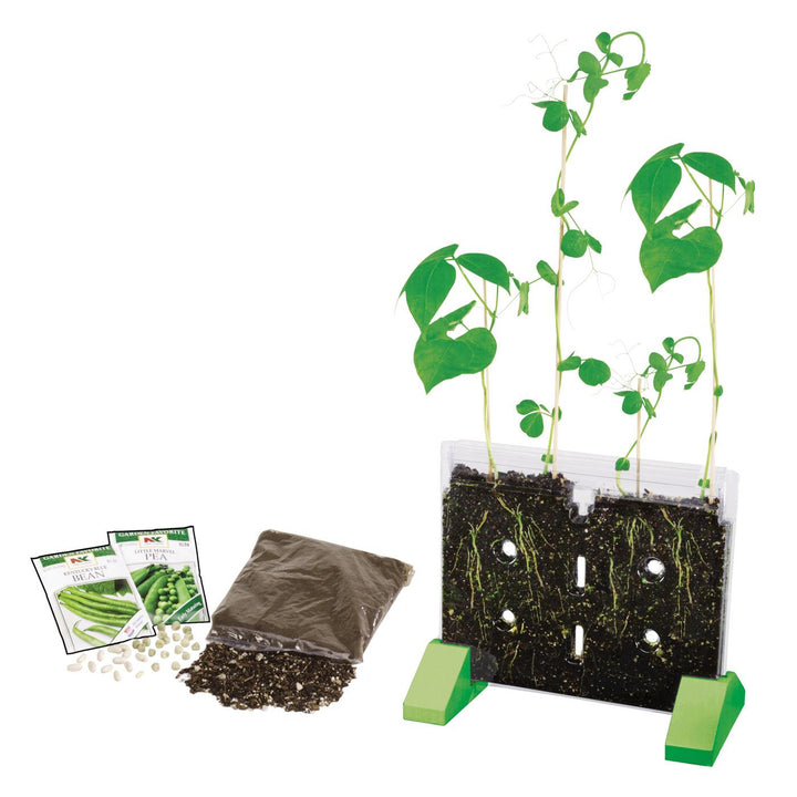 Science Pathways Elementary: Life Science - Plant & Animal Kit