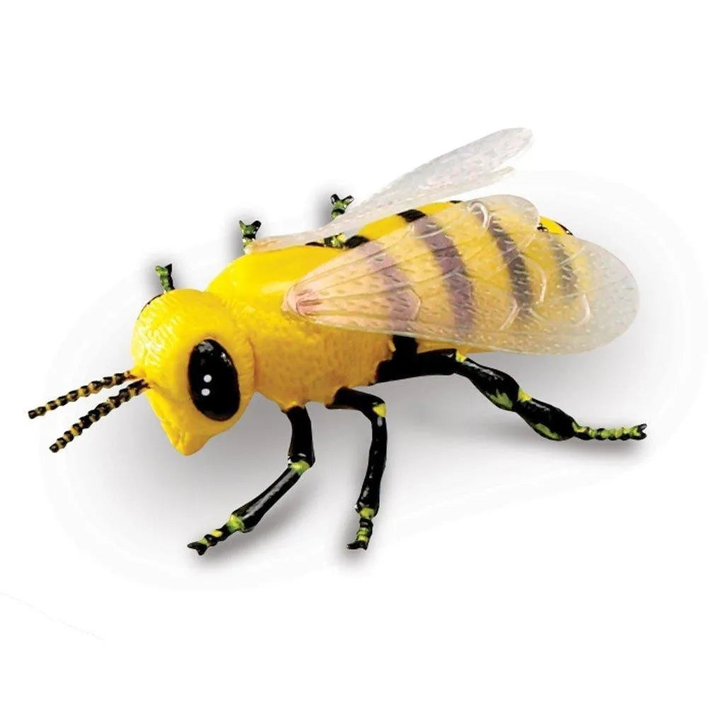 Jumbo Insects