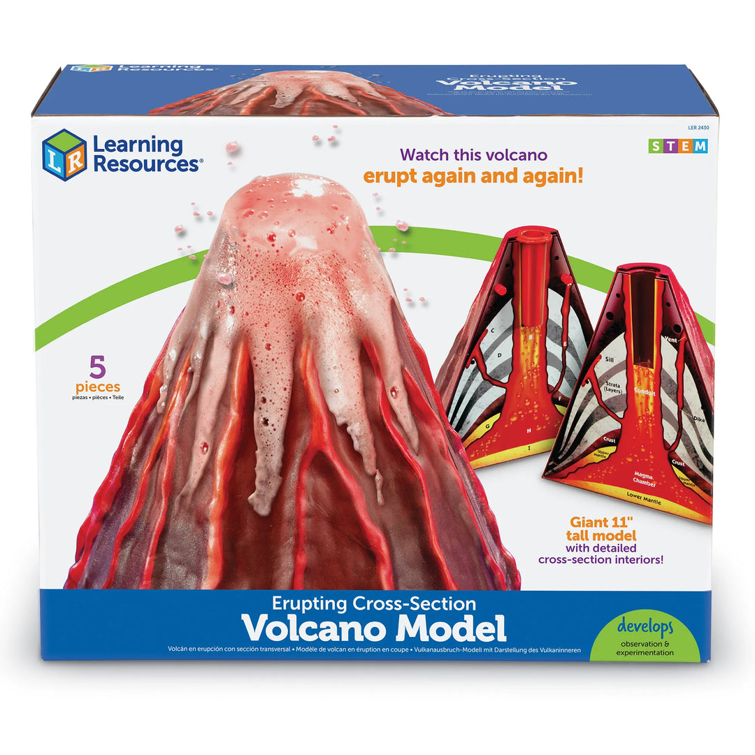 Erupting Cross-Section Volcano Model