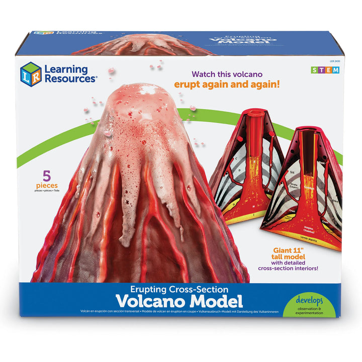 Erupting Cross-Section Volcano Model