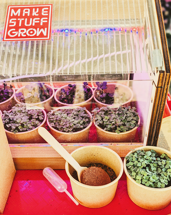 Make Stuff Grow: Seed + Soil