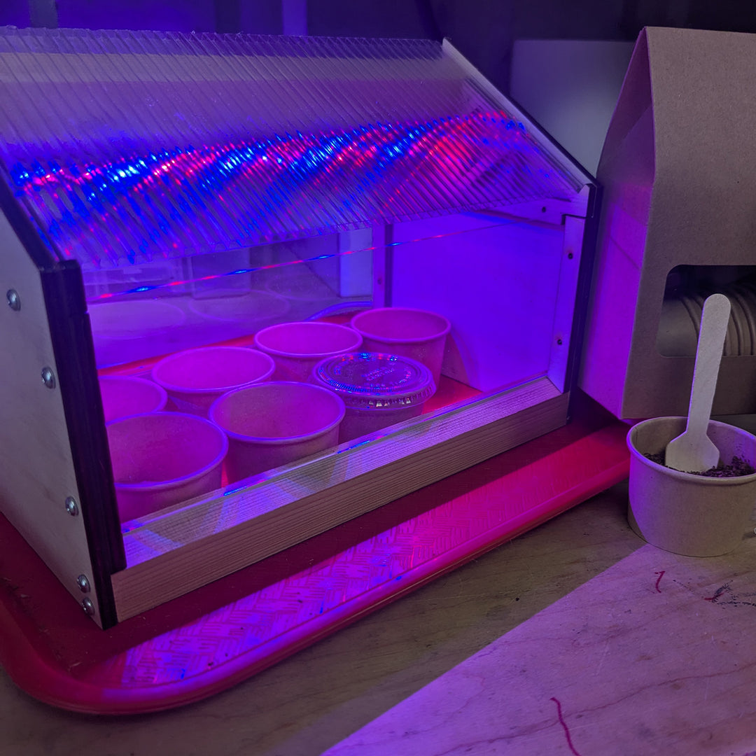 Make Stuff Grow: Greenhouse