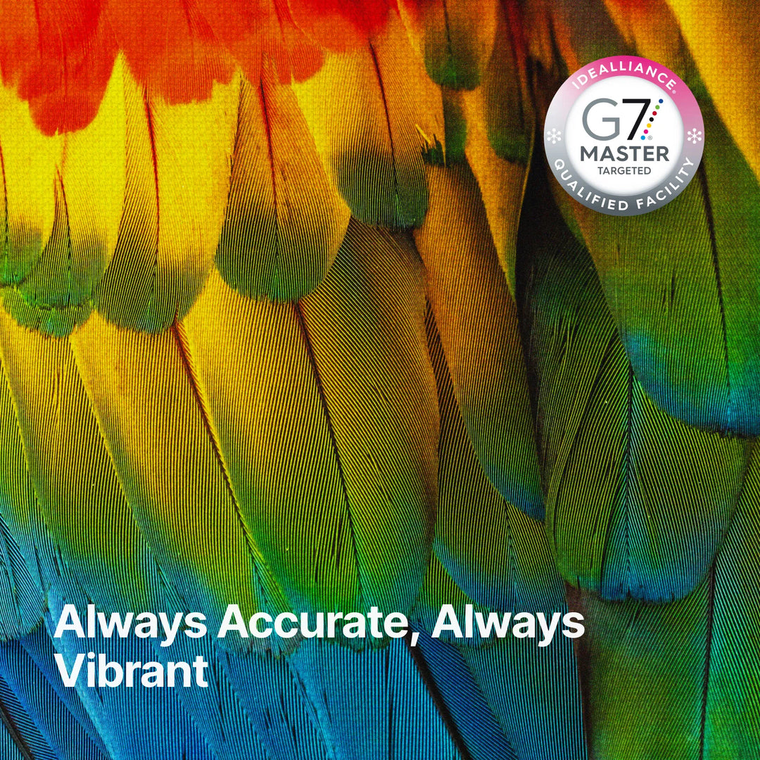 xTool Selected Apparel Printer Cleaning Liquid 100ml