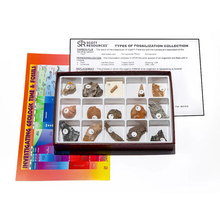 Science Pathways Secondary: Earth & Space Science - Geology Specimen Kit