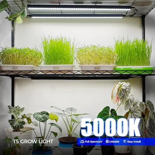 Science Pathways Elementary: Life Science - Plant Growing Kit