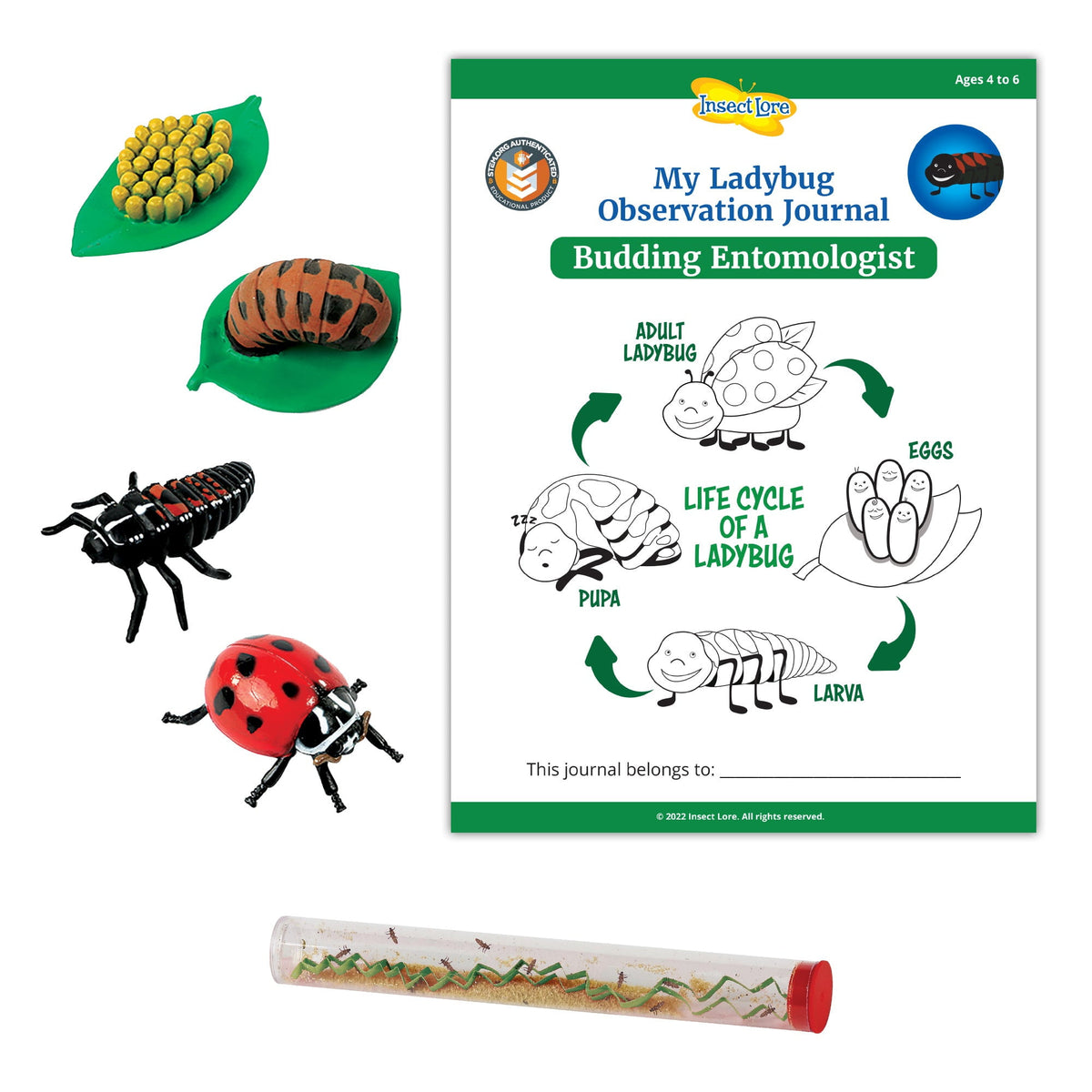 Educational Science Kit Insect Lore Live Ladybug Larvae Refill Kit ...