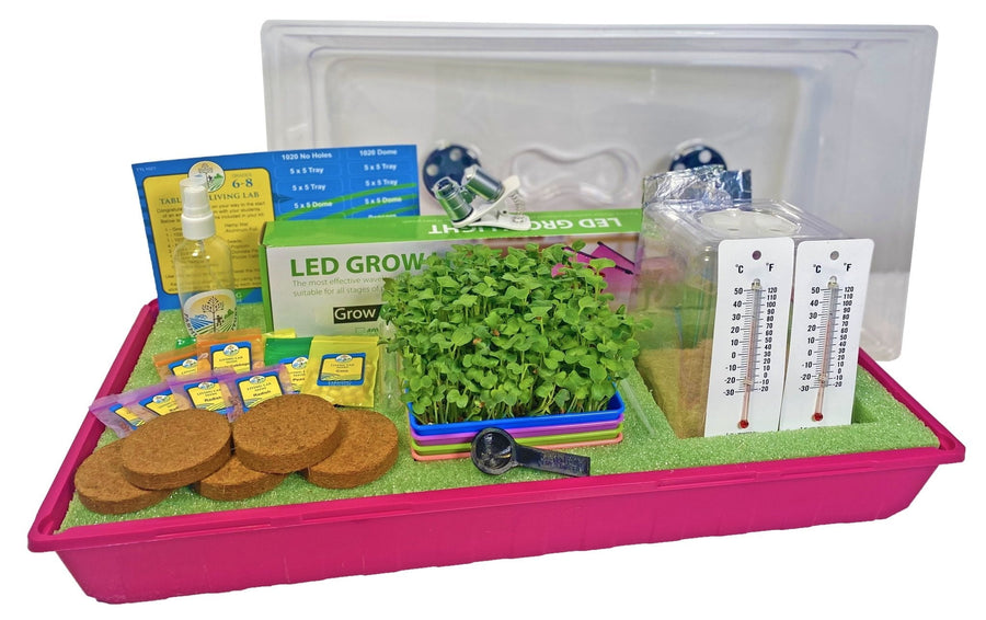 6-8 Table Top Living Lab w/ Curriculum Subscription. - Farming The Future - STEMfinity
