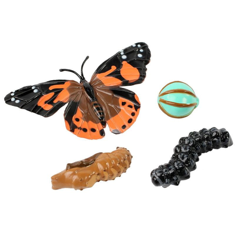 One LIVE Caterpillar Cup Refill Kit with STEM Journal & Life Cycle Stages - Insect Lore - STEMfinity