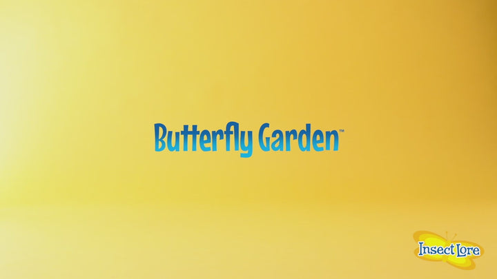 Insect Lore Butterfly Garden with Voucher