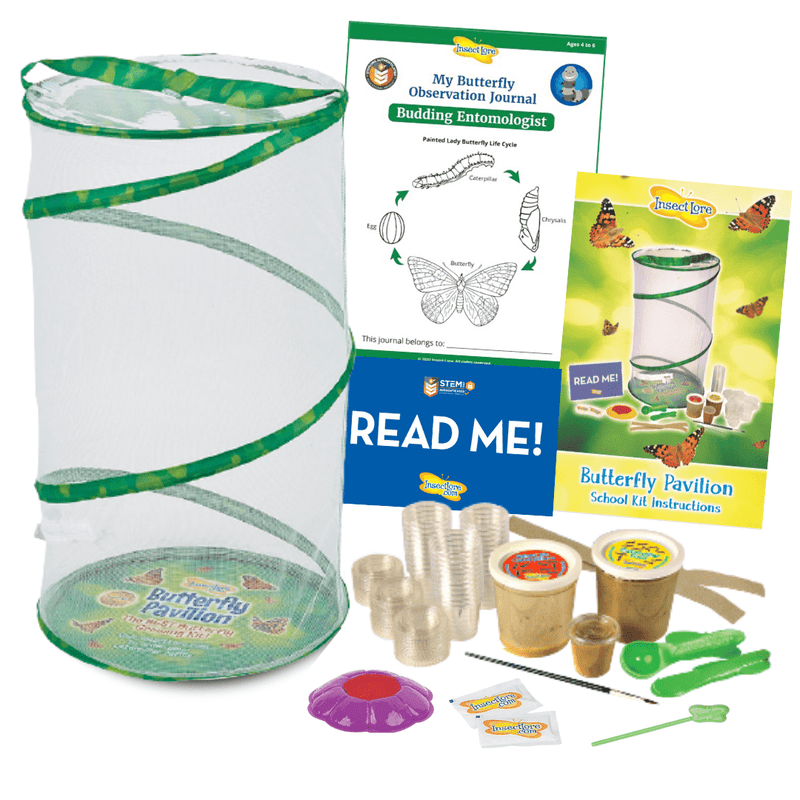 Insect Lore Butterfly Pavilion Deluxe School Kit with 33 LIVE Caterpillars - Insect Lore - STEMfinity