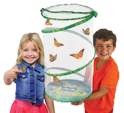 Insect Lore Butterfly Pavilion Deluxe School Kit with 33 LIVE Caterpillars - Insect Lore - STEMfinity