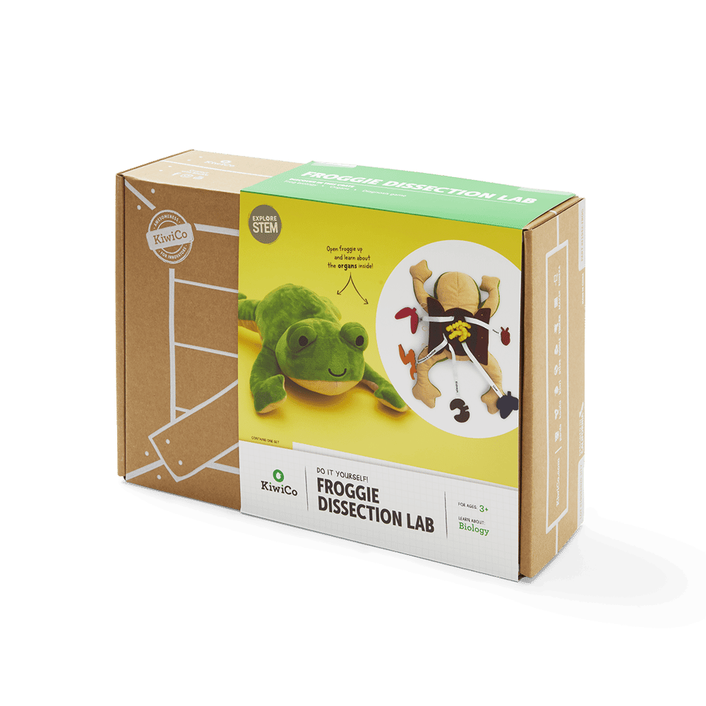 Froggie Dissection Lab - KiwiCo - STEMfinity