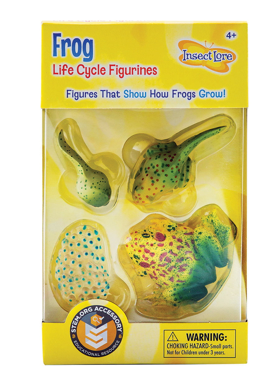 Insect Lore Frog Life Cycle Figurines 4 Piece Set - Insect Lore - STEMfinity