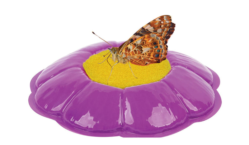 Insect Lore Butterfly Pavilion Kit with Two LIVE Cups of Caterpillars - Insect Lore - STEMfinity