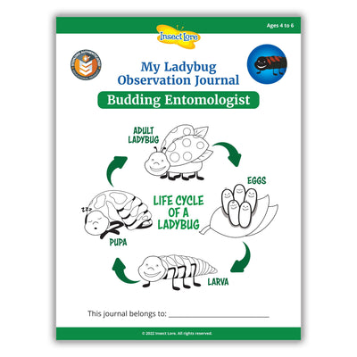 LIVE Ladybug Larvae Refill Kit with STEM Journal and Life Cycle Stages - Insect Lore - STEMfinity