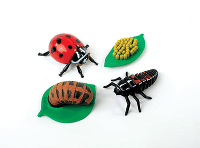 Insect Lore Ladybug Life Cycle Figurines 4 Piece Set - Insect Lore - STEMfinity