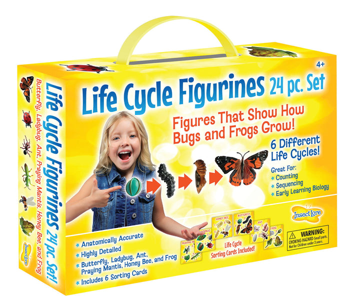 Insect Lore Life Cycle Figurines 24 Piece Set - Insect Lore - STEMfinity