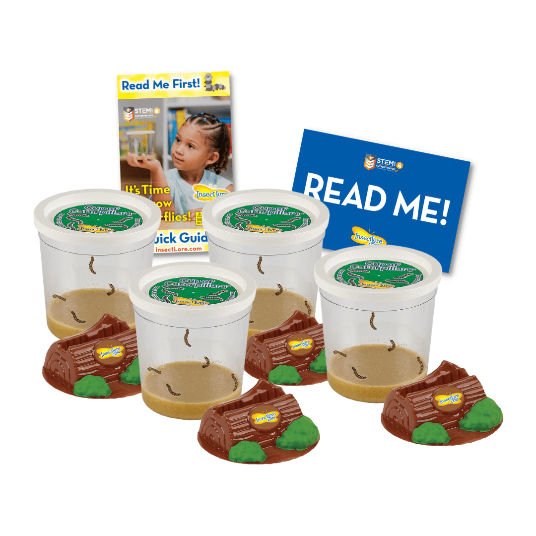 Insect Lore Easy 20 School Kit Refill - Insect Lore - STEMfinity