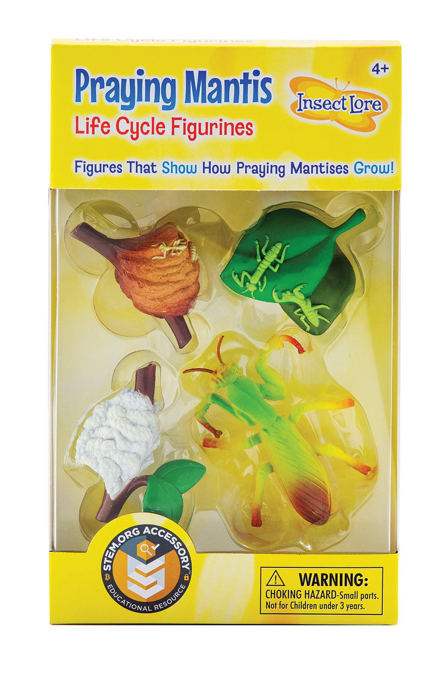 Insect Lore Praying Mantis Life Cycle Figurines 4 Piece Set - Insect Lore - STEMfinity