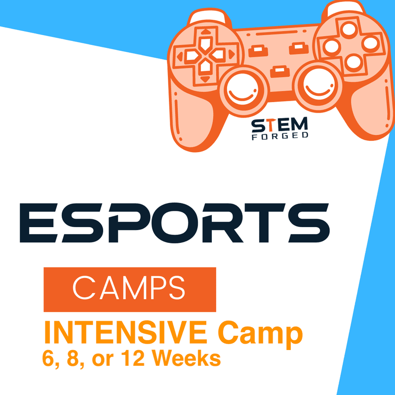 STEM Forged Esports Intensive Camp - STEM Forged - STEMfinity