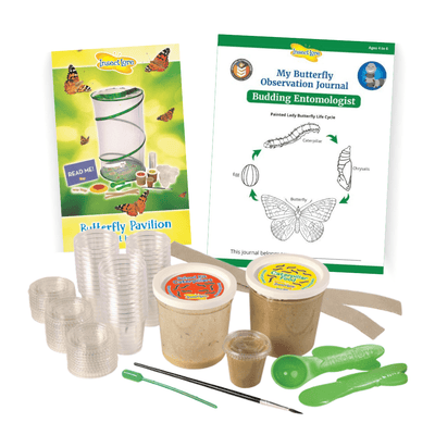 Insect Lore School Kit Refill Kit with 33 LIVE Caterpillars - Insect Lore - STEMfinity