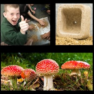 CreositySpace Mushroom Maestros Curriculum Unit Kit - STEMfinity