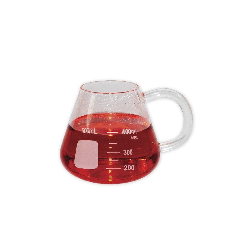 Erlenmeyer Flask, Wide Neck with Handle 500ml - STEMfinity