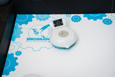 Finch Mat - BirdBrain Technologies - STEMfinity