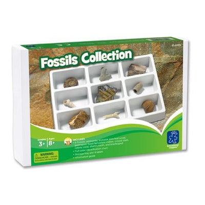 Fossils Collection - STEMfinity