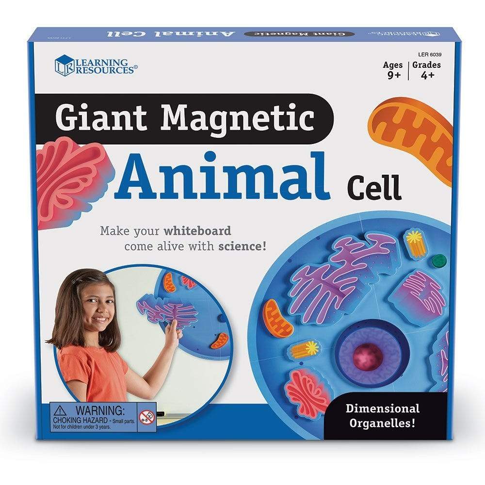 Giant Magnetic Animal Cell - STEMfinity