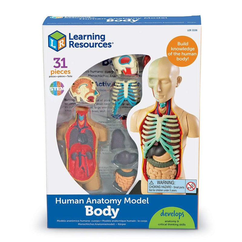 Human Body Anatomy Model - STEMfinity