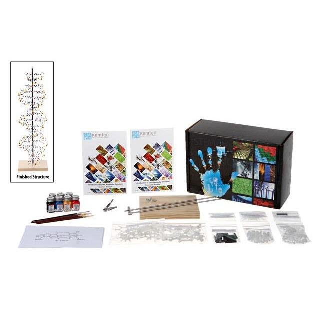 Kemtec Science: DNA Model with Paint - STEMfinity