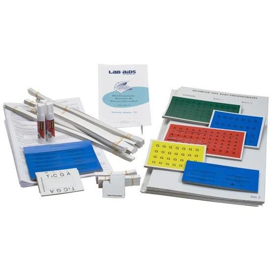 Lab-Aids: DNA Fingerprinting Diagnostics (Replication, PCR and RFLP) Kit - STEMfinity