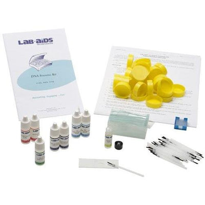 Lab-Aids: DNA Staining Kit - STEMfinity