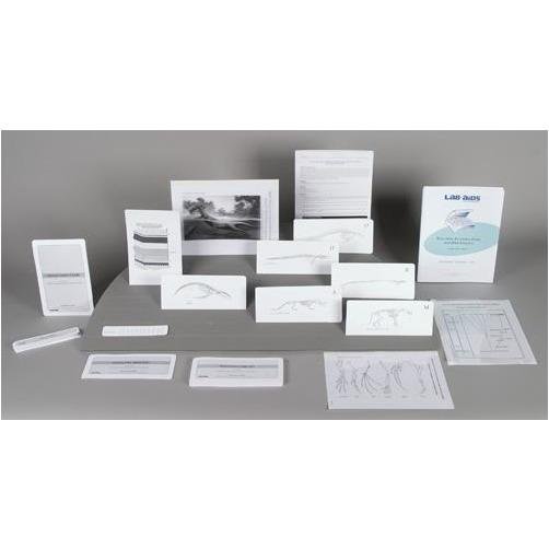 Evolution - Examining Fossil and DNA Evidence Kit | Lab-Aids | STEMfinity