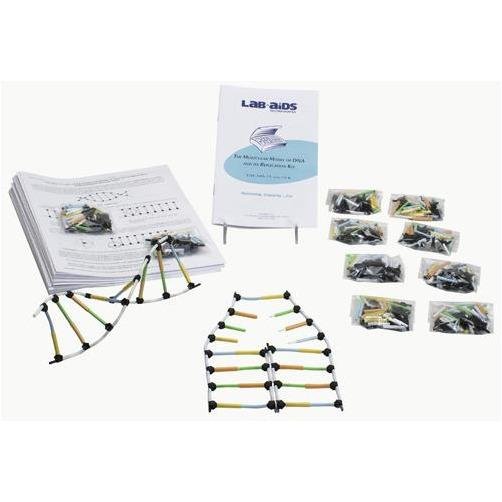 Lab-Aids: Molecular Model of DNA and its Replication Kit - Bilingual English-Spanish - STEMfinity