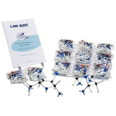 Lab-Aids: Nucleic Acid Molecular Structure (Introduction to RNA and DNA) Kit - STEMfinity