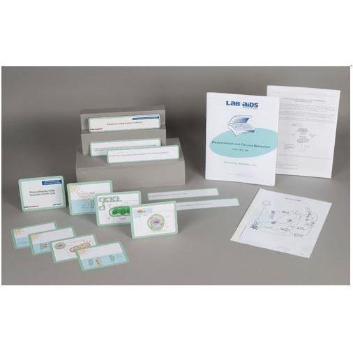 Lab-Aids: Photosynthesis and Cellular Respiration Expand-A-Kit - STEMfinity