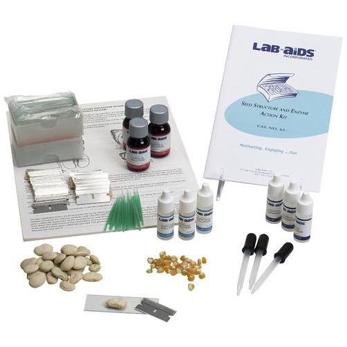 Lab-Aids: Seed Structure & Enzyme Action Kit - STEMfinity
