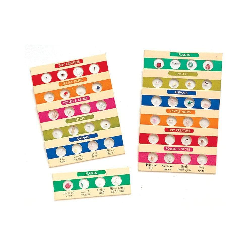 Prepared Slides Bundle: Set I & II - STEMfinity