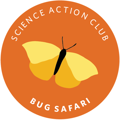 Science Action Club - Bug Safari Kit - Bilingual English-Spanish - STEMfinity