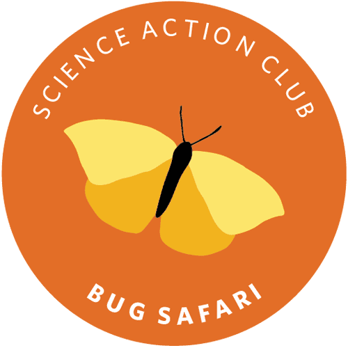 Science Action Club - Bug Safari Kit - REFILL KIT - STEMfinity