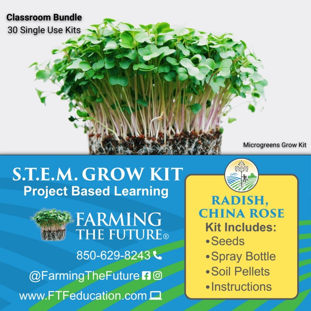Single Use STEM Student Microgreen Kit - Classroom Bundle - Farming The Future - STEMfinity
