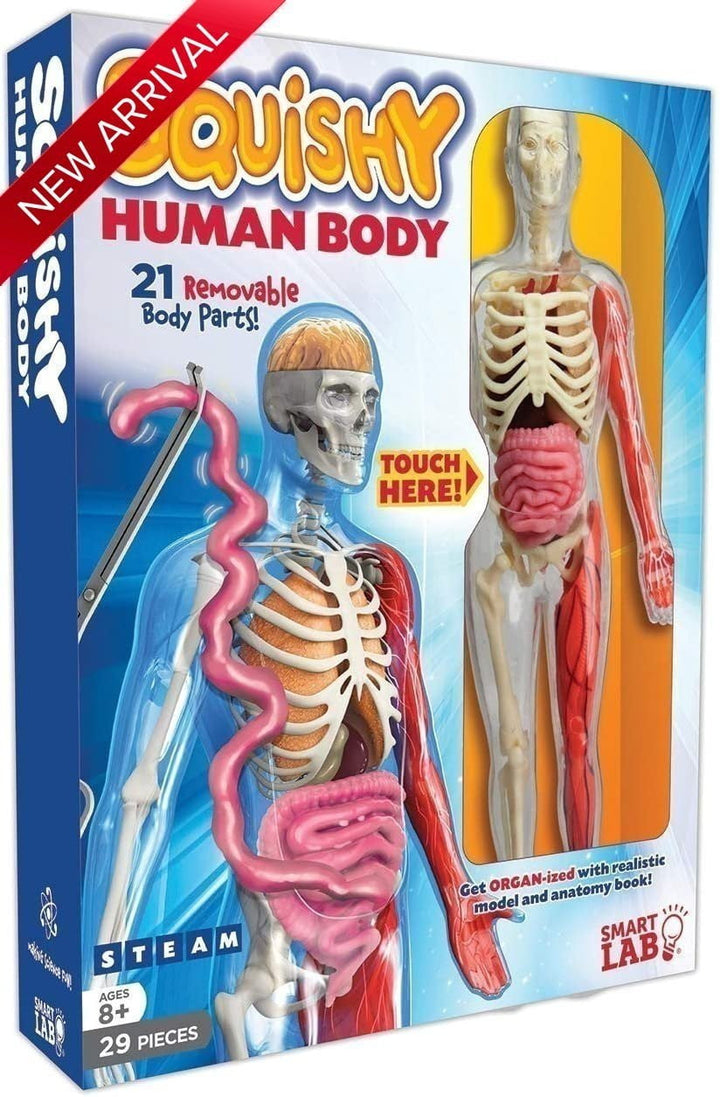 Squishy Human Body - Smart Lab Toys - STEMfinity