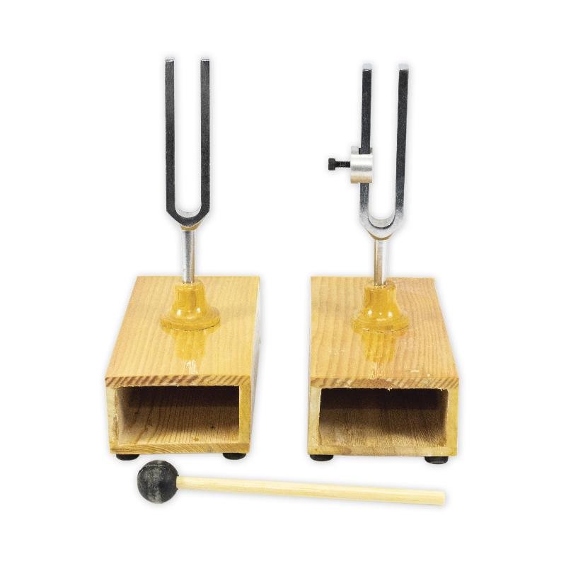 Sympathetic Differential Tuning Fork Set-2 with Mallet, Wooden Block - STEMfinity
