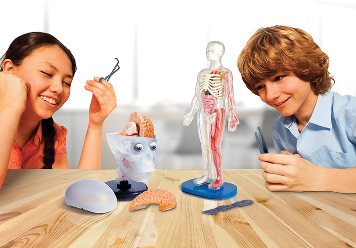 Totally Squishy from Head-To-Toe - Smart Lab Toys - STEMfinity