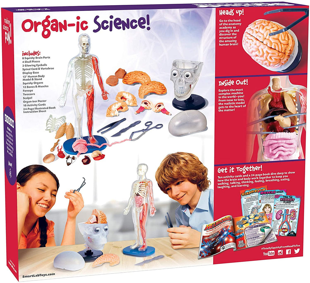 Totally Squishy from Head-To-Toe - Smart Lab Toys - STEMfinity